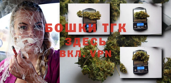 тгк Алексин