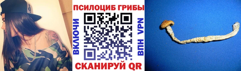 Галлюциногенные грибы ЛСД  Павлово 